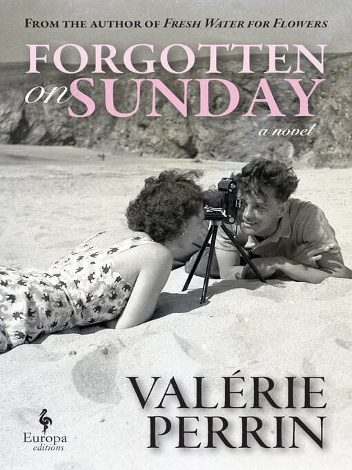 Title details for Forgotten on Sunday by Valérie Perrin - Available